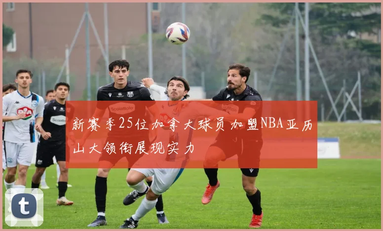 新赛季25位加拿大球员加盟NBA亚历山大领衔展现实力